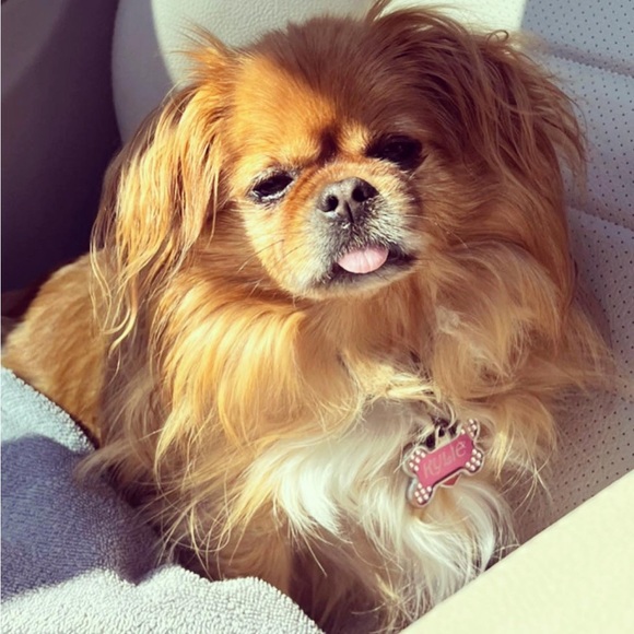 ❤️BOOKMARK ME LOVES! Ambassador, Top Seller & Trusted Trader 💋💋💋🥰🥰👍 - Picture 11 of 16